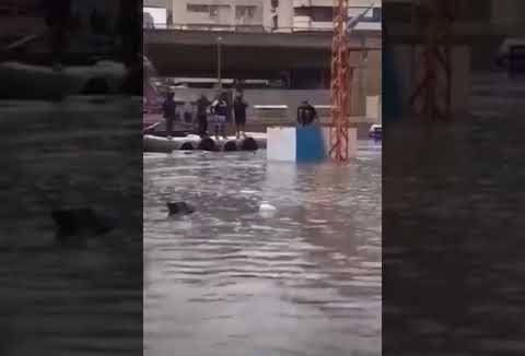 بالفيديو- المياه تغمر قصر العدل ومعرض الكتاب.. وعملية غطس تحت جسر الكولا