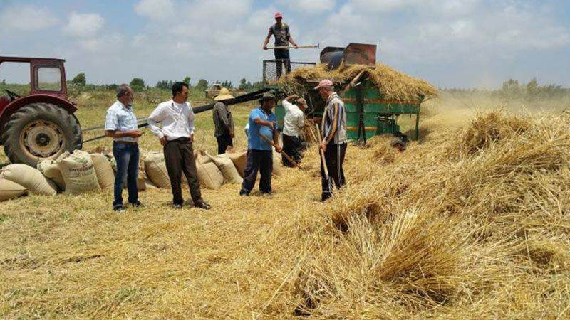 القمح الوطني من اجود الأنواع والمستورد غير مطابق للشروط... فلماذا لا تشتري الدولة الإنتاج المحلي؟
رئيس نقابة الافران لـ "الديار": لهذا السبب طالبنا بالبطاقة التمويلية!
ترشيشي لـ "الديار": عملية شراء القمح المدعوم لا تخلو من السمسرة