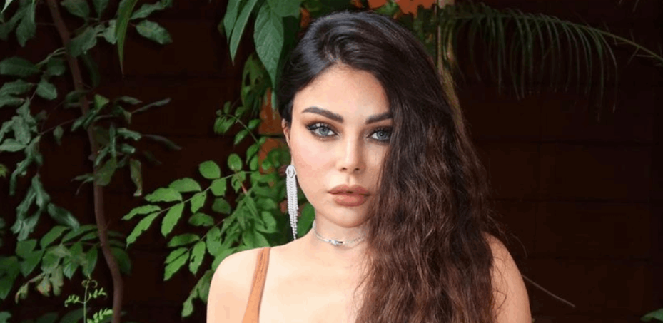 بعد صمتها عما يحدث في غزة.. هيفا وهبي مُنشغلة بهذا الأمر!