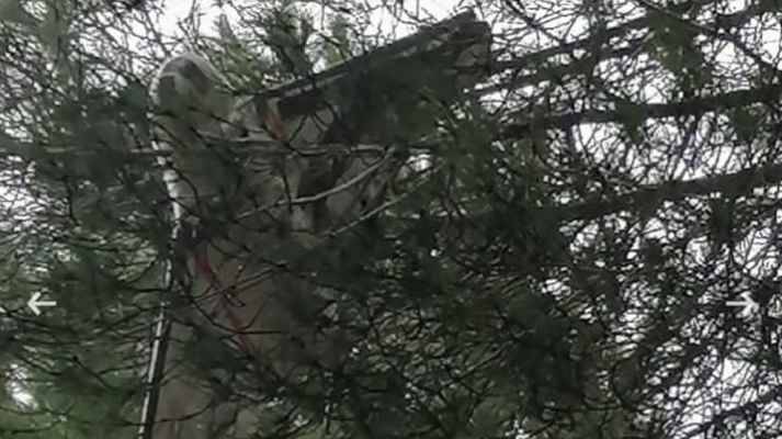 العثور على مسيرة عالقة بين الشجر في ابل السقي وتحرك للجيش واليونيفيل