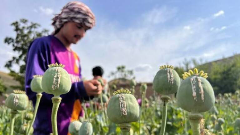 مدفيديف: "طالبان" حققت في عام ما عجز عنه "الناتو" في 20 عاما