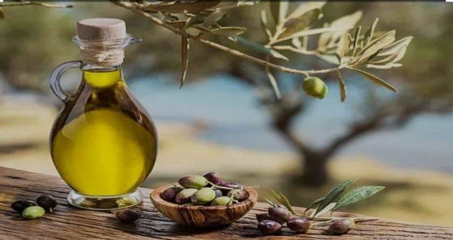 لجنة كفرحزير البيئية دعت الى حماية شجرة الزيتون