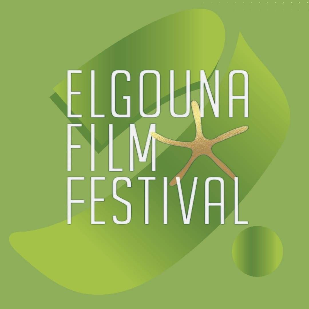 مهرجان الجونة السينمائي يعلن استمرار التبرعات لغزة حتى الساعات الأخيرة من الدورة السادسة