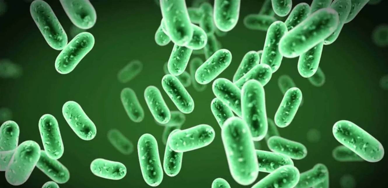 عدوى بكتيرية شائعة في المعدة قد تزيد من خطر الإصابة بهذا المرض!