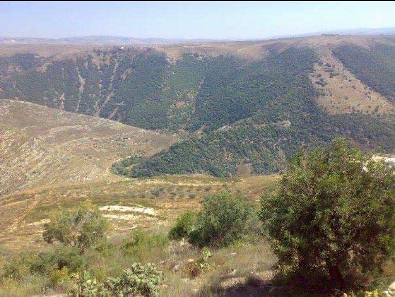 نداءٌ عاجل من "حزب الله" إلى أهالي الجنوب.. ماذا جاء فيه؟