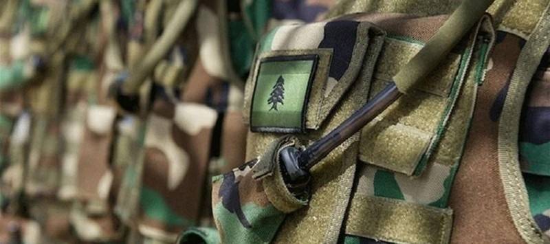 الجيش يوقف حارقي شجرة الميلاد في طرابلس... وهذا ما اعترفوا به