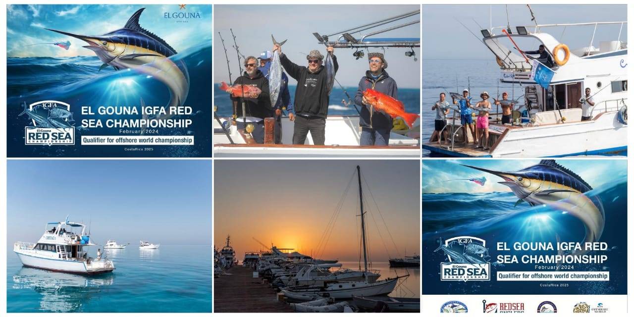 لأول مرة مصر تحتضن بطولة Red Sea IGFA في الشرق الأوصط