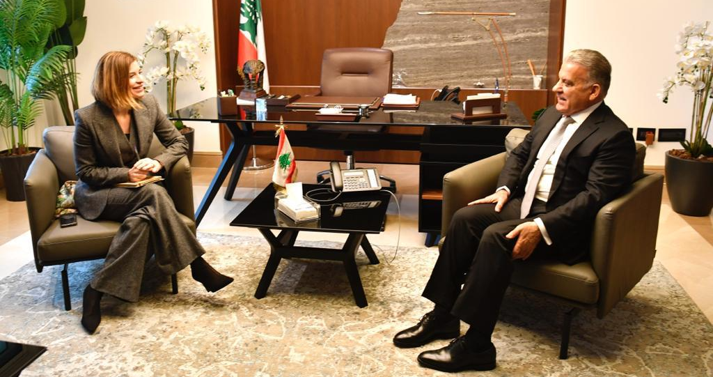 عرضت المستجدات مع ابراهيم وجنبلاط
ميرو: ضرورة وقف العدوان 
على غزة وعلى جنوب لبنان