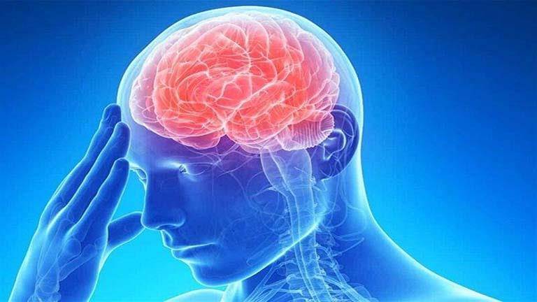 دراسة تُظهر دوراً غير متوقع للدماغ في عمليّة النسيان