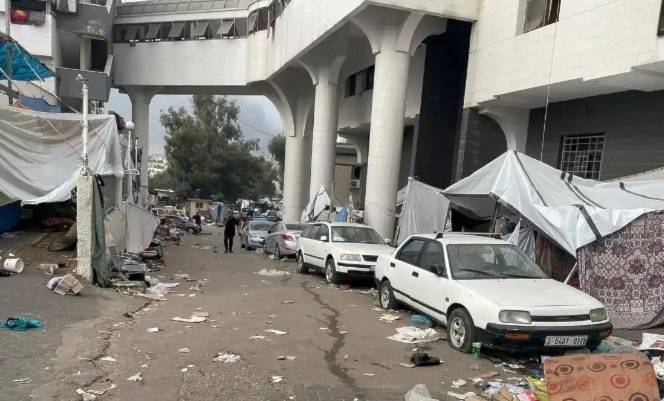 المكتب الإعلامي الحكومي في غزة: 2503 مجزرة و35.775 حالة بين شهيد ومفقود