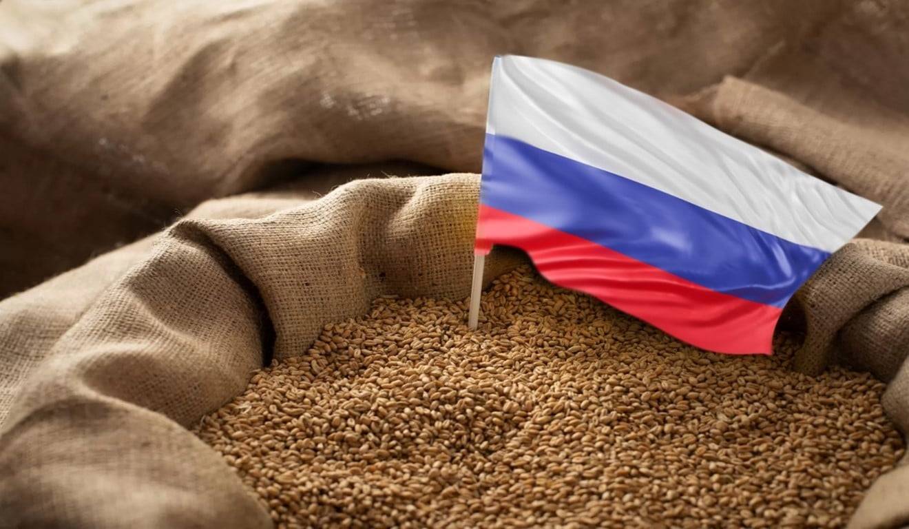 مجاناً وبدون مقابل... روسيا تكمل مبادرتها بإرسال الحبوب إلى 6 دول أفريقية