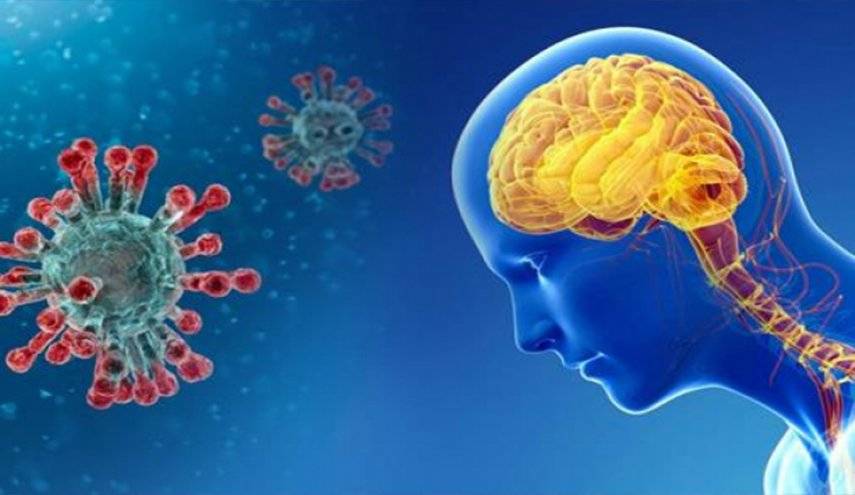 الباحثون يكتشفون سبب "ضباب الدماغ" في "كوفيد" طويل الأمد