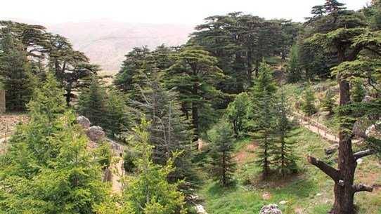 المحميات الطبيعية ستفتح أبوابها مجاناً الأحد