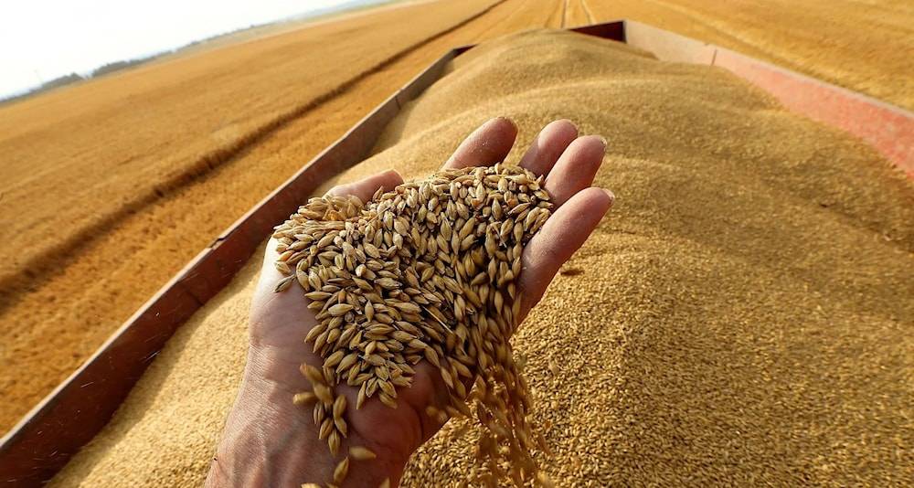 روسيا تنتظر رسوم جمركية على الحبوب التي تصدرها