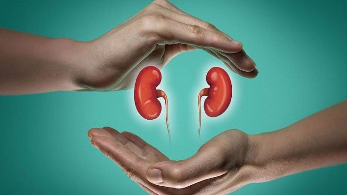 أسرار صحّة الكلى... نصائح للحفاظ على وظائفها المثاليّة