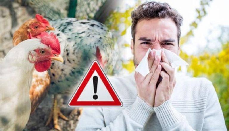 "مصدر قلق كبير"... الصحة العالمية تحذّر من خطر تفشي إنفلونزا الطيور بين البشر