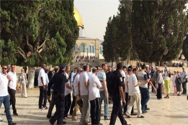 مئات المستوطنين يقتحمون باحات المسجد الأقصى