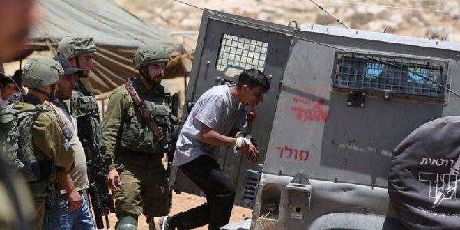 بينهم طفل وأسرى سابقون... قوات الإحتلال تعتقل 12 فلسطينياً في "الضفة"