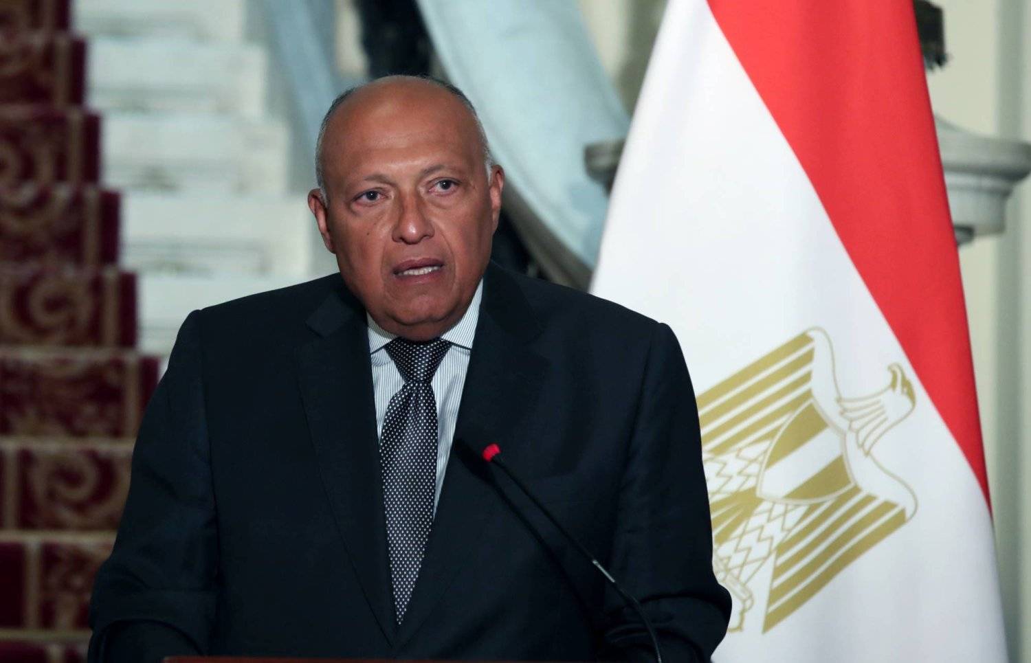 شكري: يجب دعم إقامة الدولة الفلسطينية لإنهاء الصراع في المنطقة