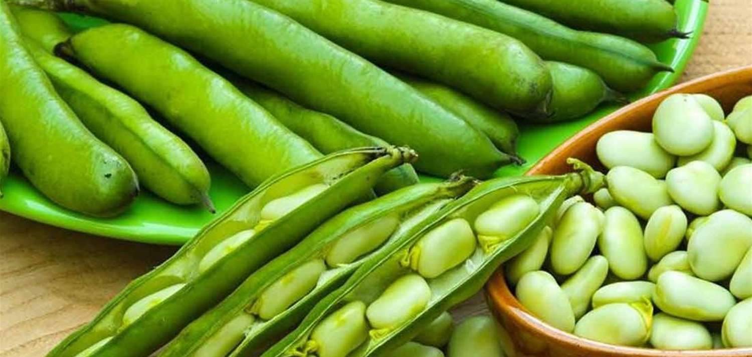 "اللؤلؤ الأخضر" أو " Wonder veggie"...  يقي من السرطان والأمراض القلبيّة ويجدد الخلايا