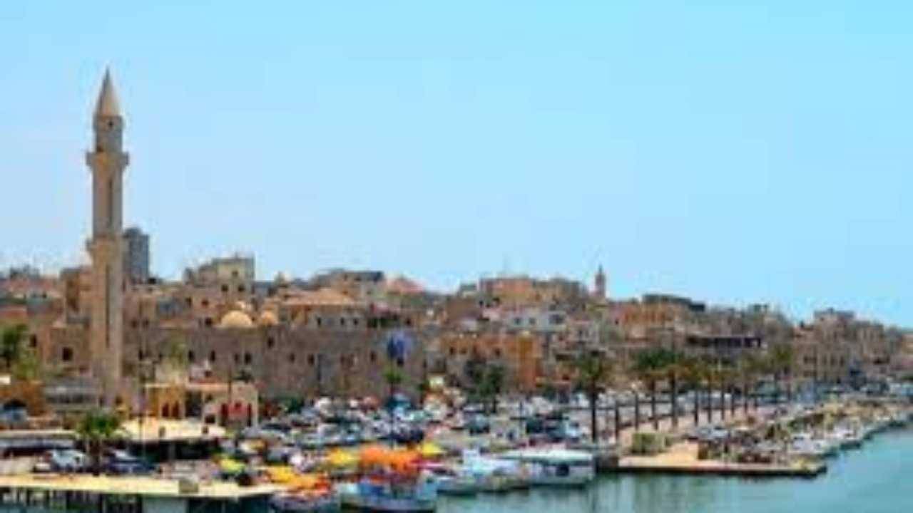 إجراءات لحماية البيئة البحرية في صيدا