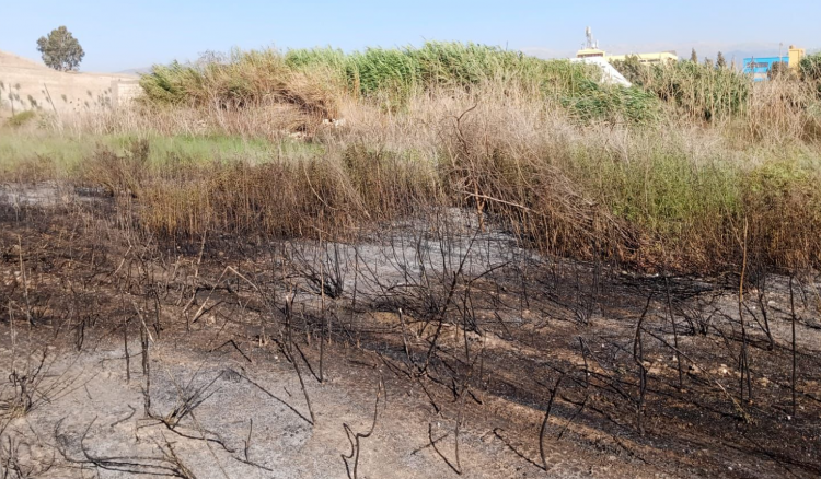 إخماد حريق كبير بمحاذاة مرفأ طرابلس