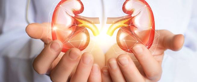 الأطعمة المحظورة التي تضرّ بوظائف الكلى!