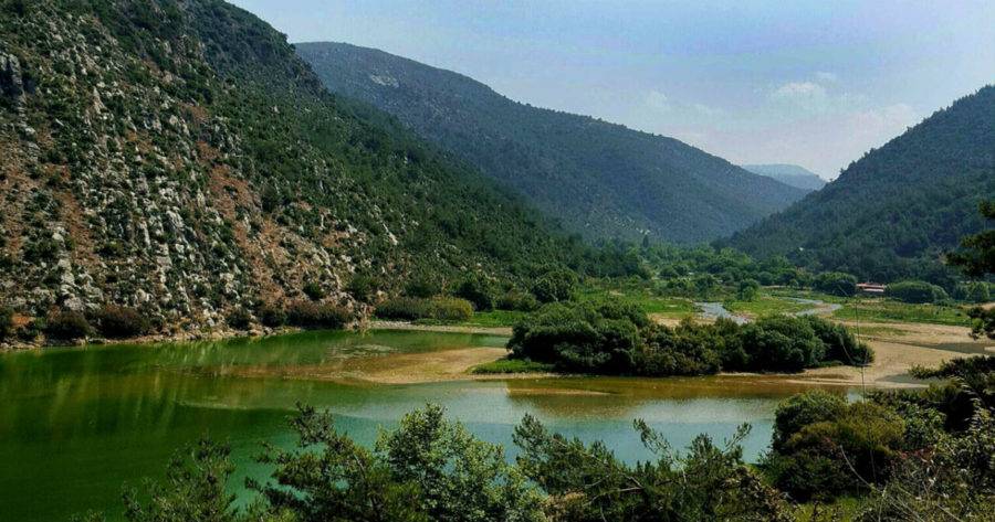 أربعة جرحى بخلاف في عيون السمك - الضنية