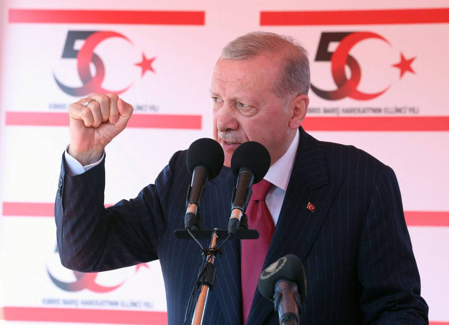أردوغان: تركيا مستعدّة لإقامة قاعدة بحريّة في قبرص إذا دعت الحاجة