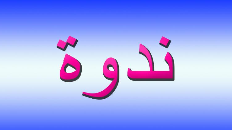 ندوة لـ "منتدى شؤون جنوبية" حول
"الإصلاحات والحوكمة والطريق الى الاستقرار
