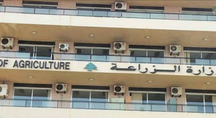 وزارة الزراعة تؤكد مطابقة قطاع
الدواجن لمعايير سلامة الغذاء