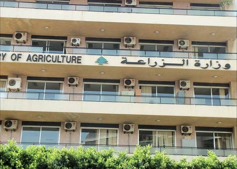 وزارة الزراعة: لضبط ومكافحة هذه الظاهرة الخطيرة