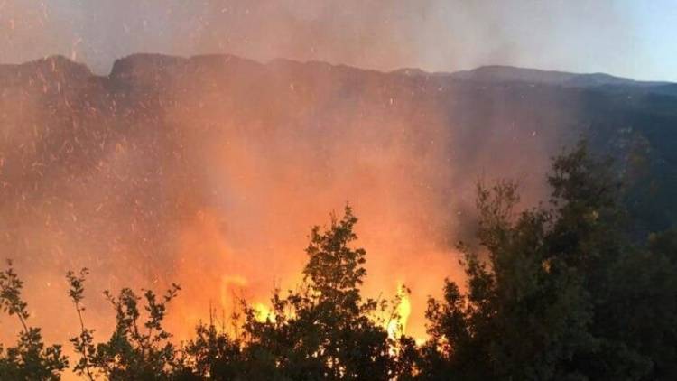 لليوم الثالث... توسع رقعة النيران في خراج قبعيت والعمل جارٍ على إخماده
