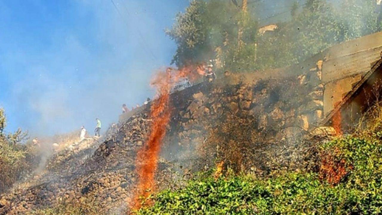 اندلاع حريق كبير في بلدة اده - جبيل