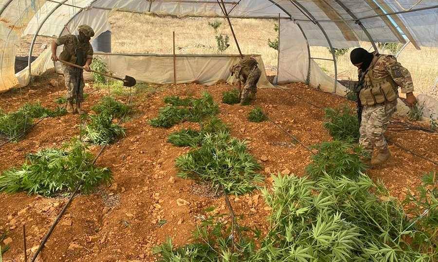 مداهمة للجيش في حورتعلا وتوقيف 3 أشخاص.. وهذا ما تم ضبطه