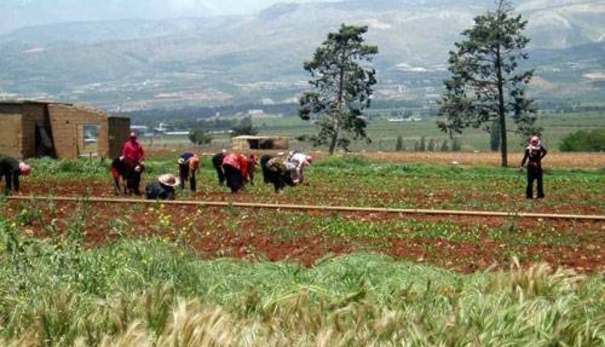 لقاء حواري في بعلبك لتفعيل التواصل
بين المنتجين صناعيين ومزارعين