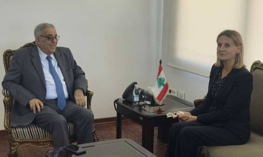 بوحبيب: الـ1701 شرط أساسي لتحقيق الأمن والاستقرار المستدام في الجنوب