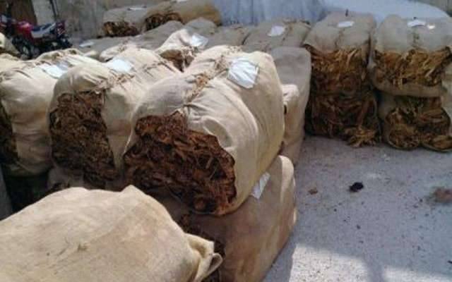 الريجي بدأت تسلم مواسم التبغ من مزارعي الجنوب