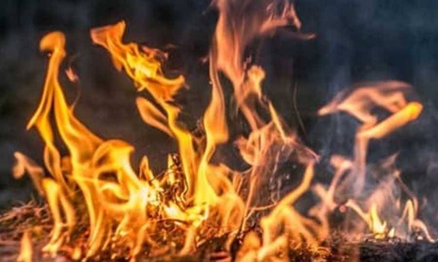 حريق في مصنع للأخشاب في زغرتا وتسجيل حالة اختناق
