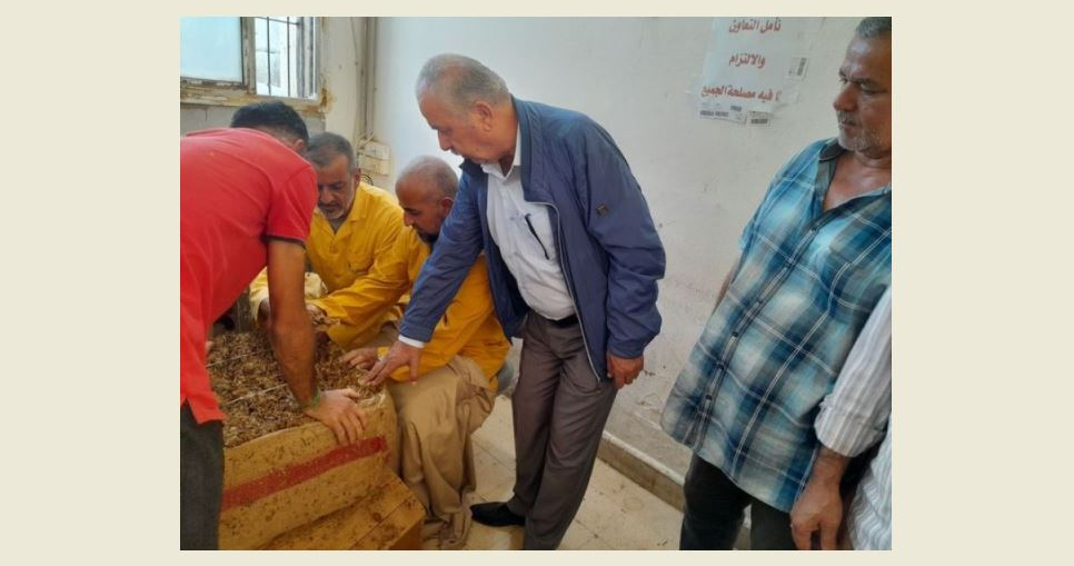 تسلم محصول التبغ قي كفررمان الجنوب

فقيه : الاسعار مرضية ومن زرع فدائي