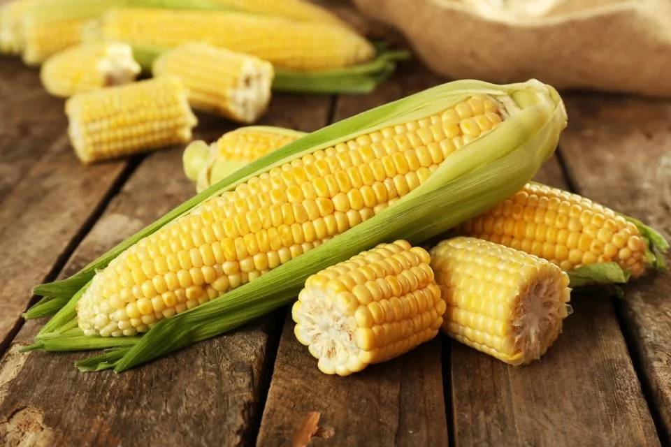 5 فوائد صحية للذرة تجعلها طعاماً مثالياً