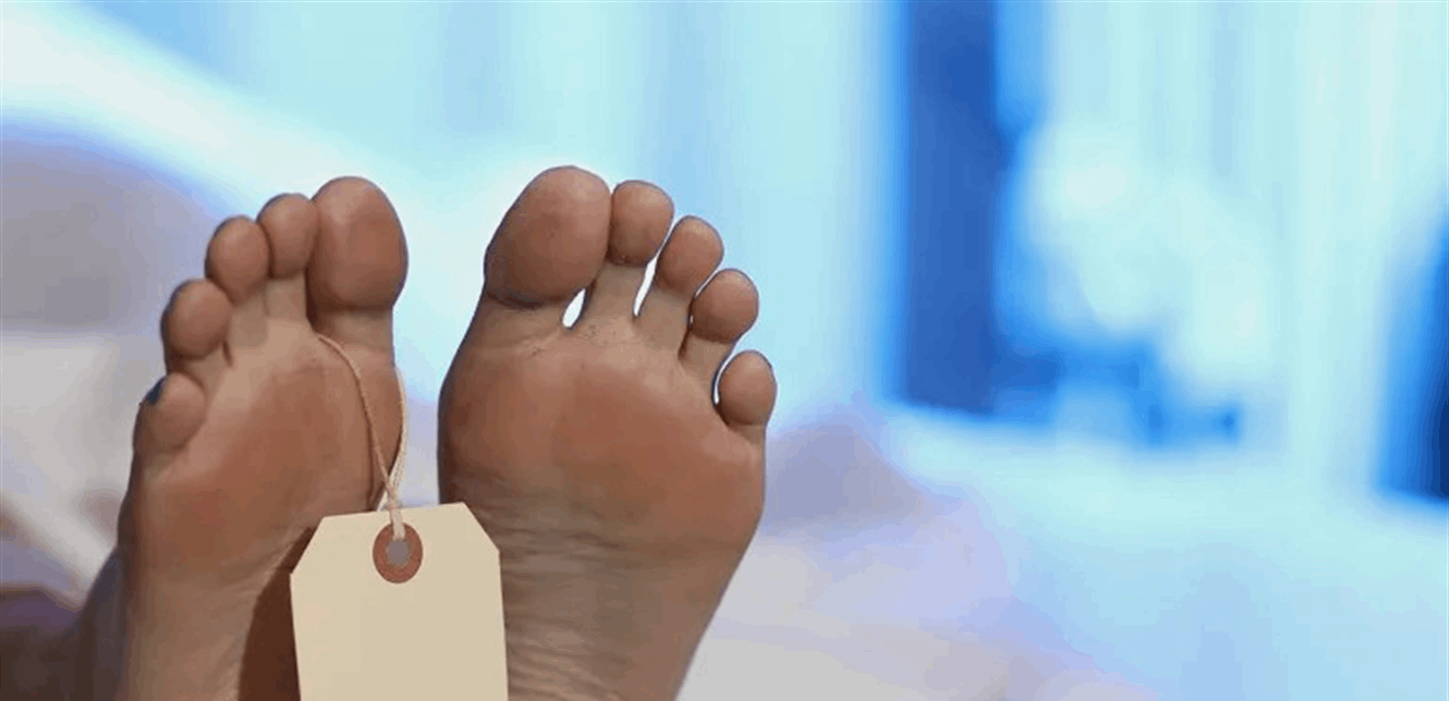 تحليل الجثث وإبداع الكتابة.. كيف أصبح بوكسو مؤلفًا رائجًا في بلجيكا؟