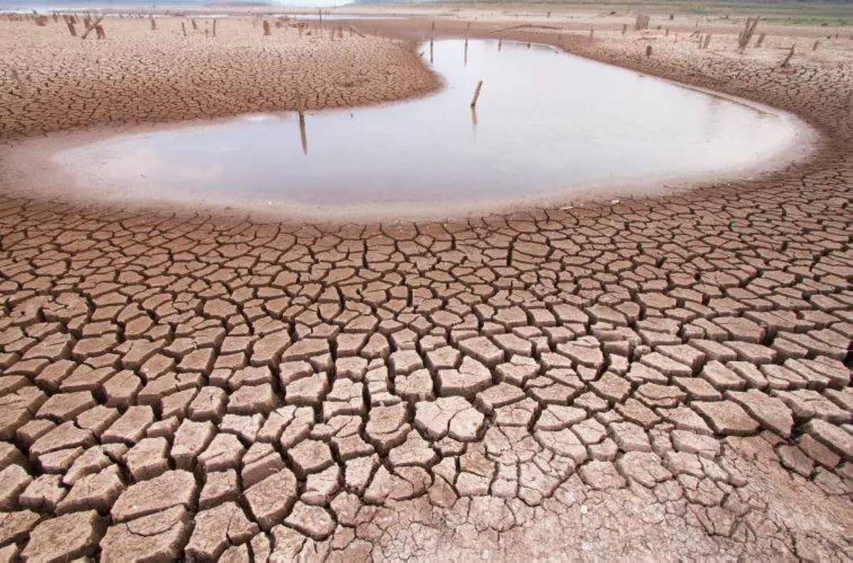 الأمم المتحدة: الجفاف يُكلّف العالم أكثر من 300 مليار دولار سنويا