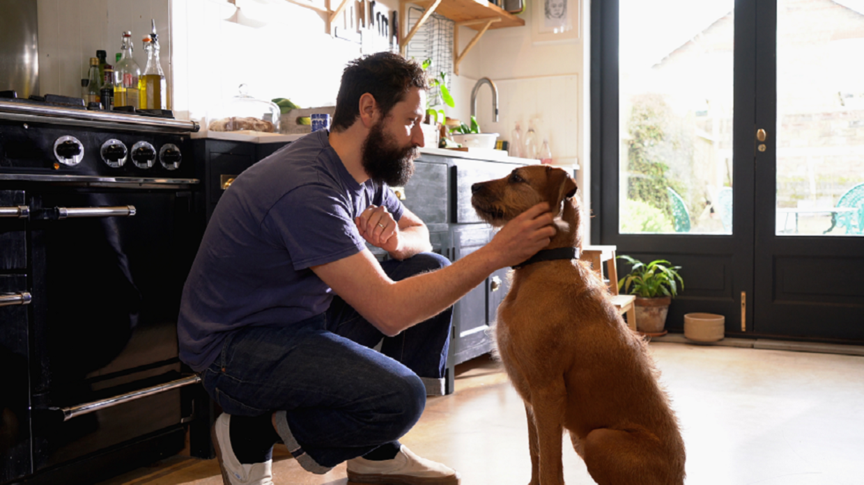 لأول مرة.. الكلاب تتواصل مع البشر