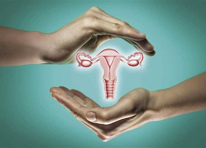 قلّة التبويض عند النساء... التحدّيات والحلول الممكنة!