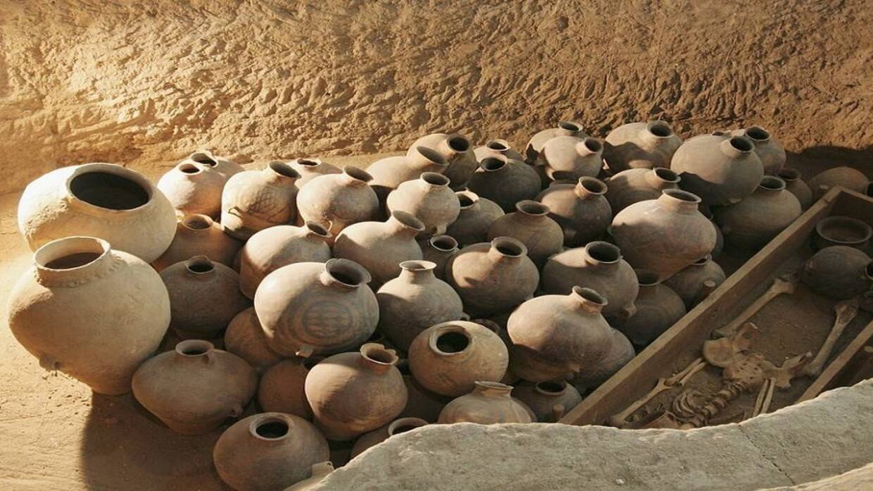 نبيذ مقطر عمره أكثر من 3000 عام في الصين