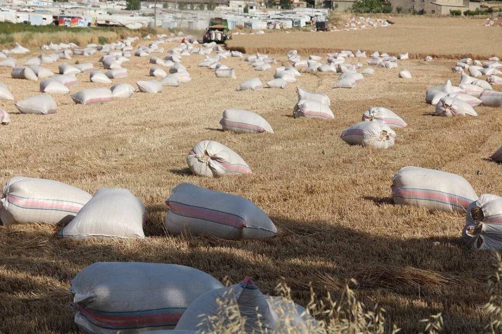 منتجات زراعية سورية مهربة تغزو الأسواق اللبنانية: أزمة تُهدد الإنتاج المحلي