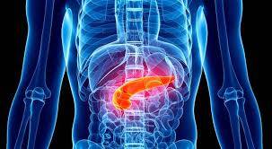 البنكرياس وأمراضه... الوقاية من الأعداء الشائعة!