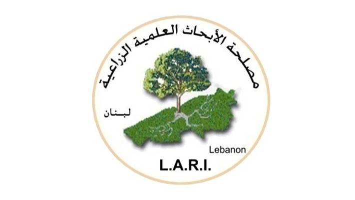مصلحة الابحاث العلمية الزراعية: ليس في الافق أي بوادر لثلو أو لأمطار طويلة الأمد