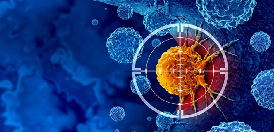 غذاء شائع في آسيا قد يكون سلاحا ضد السرطان